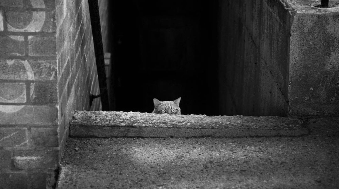 Waiting and connecting